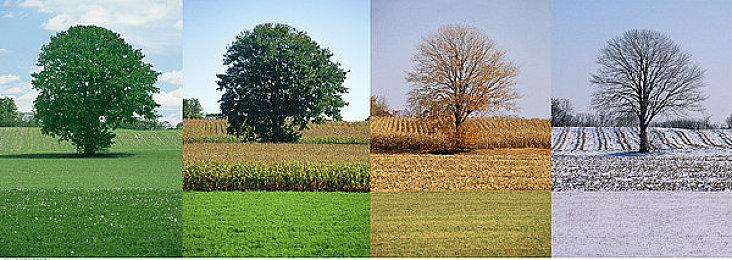 经典日恐新作《翌日-忌夜的噬灵超市》10月10日登陆PS4＆NS